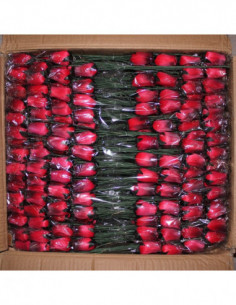 CAJA 800 ROSAS COLOR ROJAS