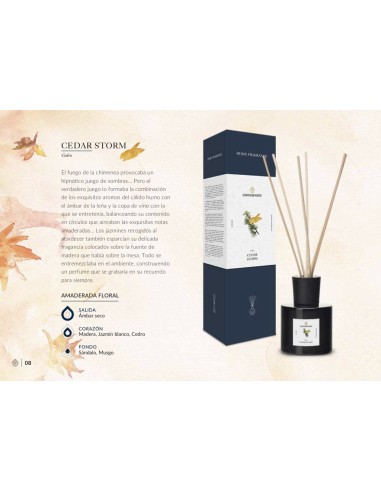 MIKADO 200 ML. LUXURY CEDAR STORM -...