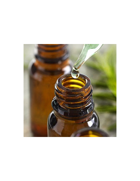 Aceite Esencial Puro Árbol del Té 10 ml